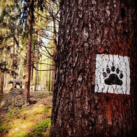 Filmowiec Apartamento