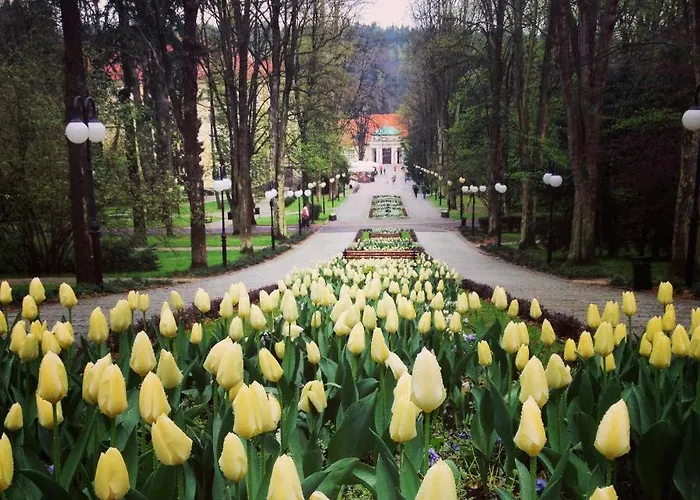 Filmowiec Apartamento