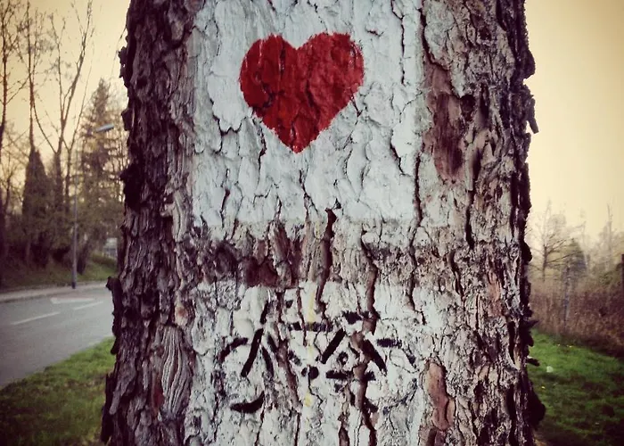 Filmowiec * Polanica-Zdrój