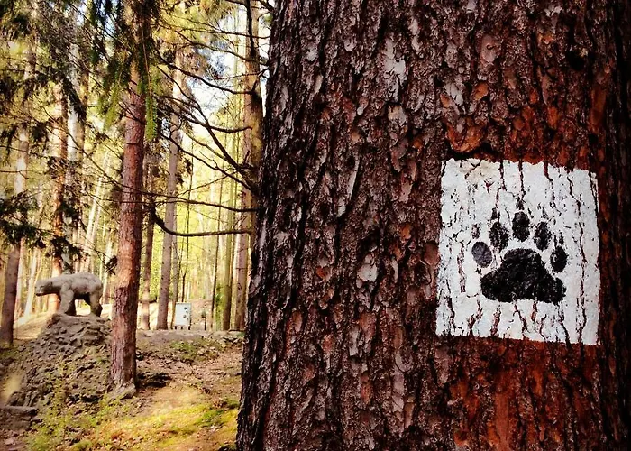 Filmowiec Apartamento