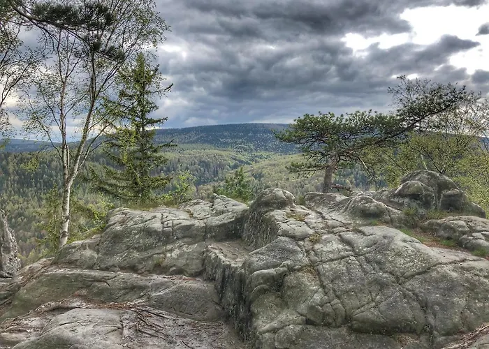 Filmowiec Polanica-Zdrój