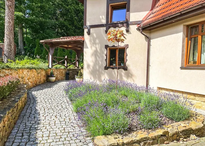 Filmowiec * Polanica-Zdrój