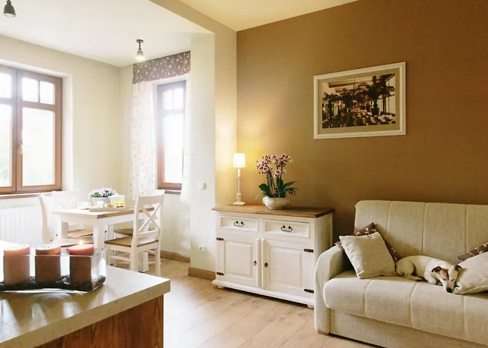 Filmowiec Polanica-Zdrój