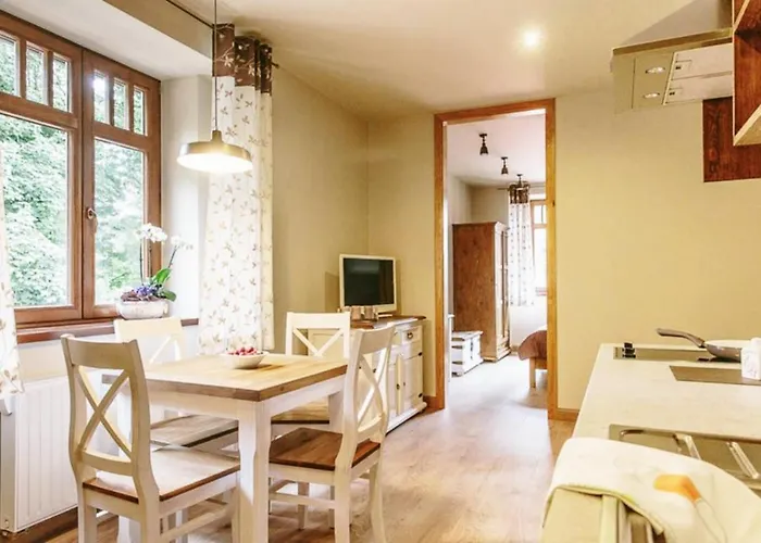 Filmowiec * Polanica-Zdroj