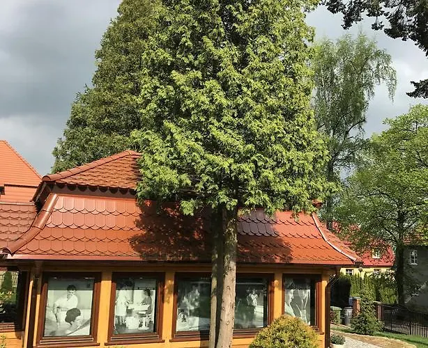 Filmowiec Polanica-Zdrój